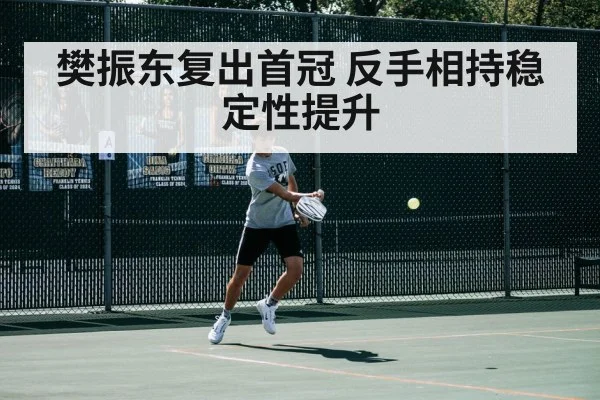 樊振东复出首冠 反手相持稳定性提升